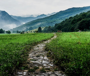 Der Weg